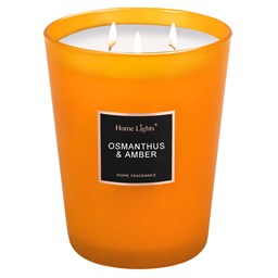 Show details for Osmanthus & Amber Large Jar Candle | SELECTION SERIES 1316 Model Picture of Osmanthus & Amber Large Jar Candle | SELECTION SERIES 1316 Model
